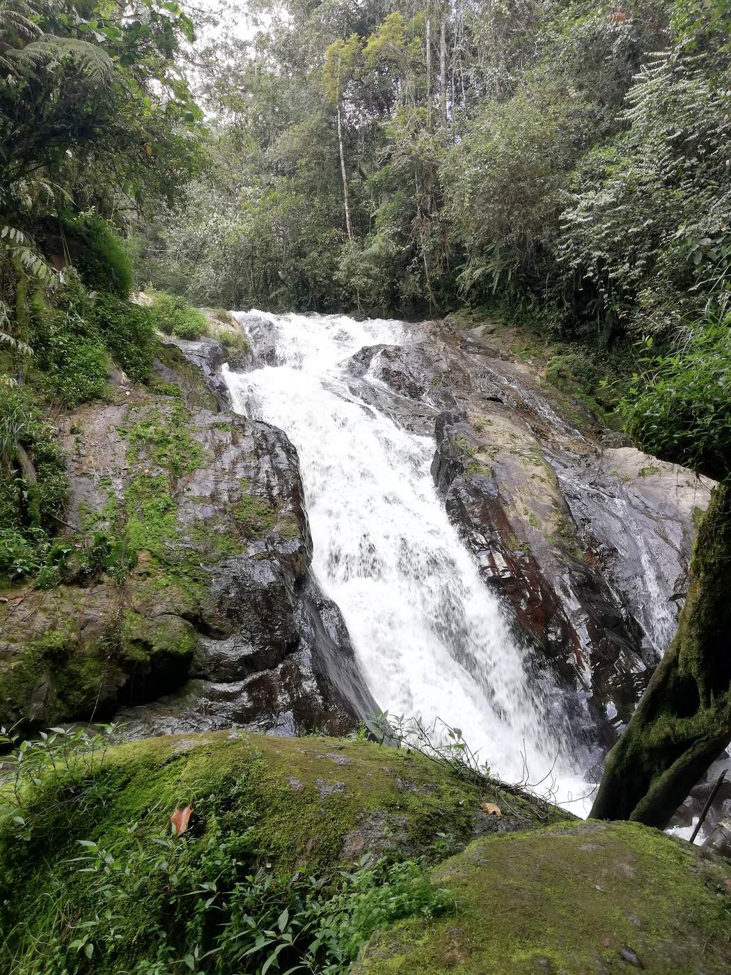 irgendwo in den Bergen