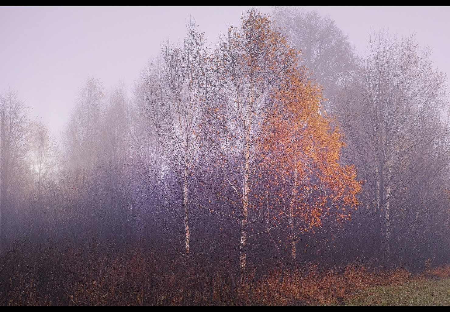 Herbstnebel