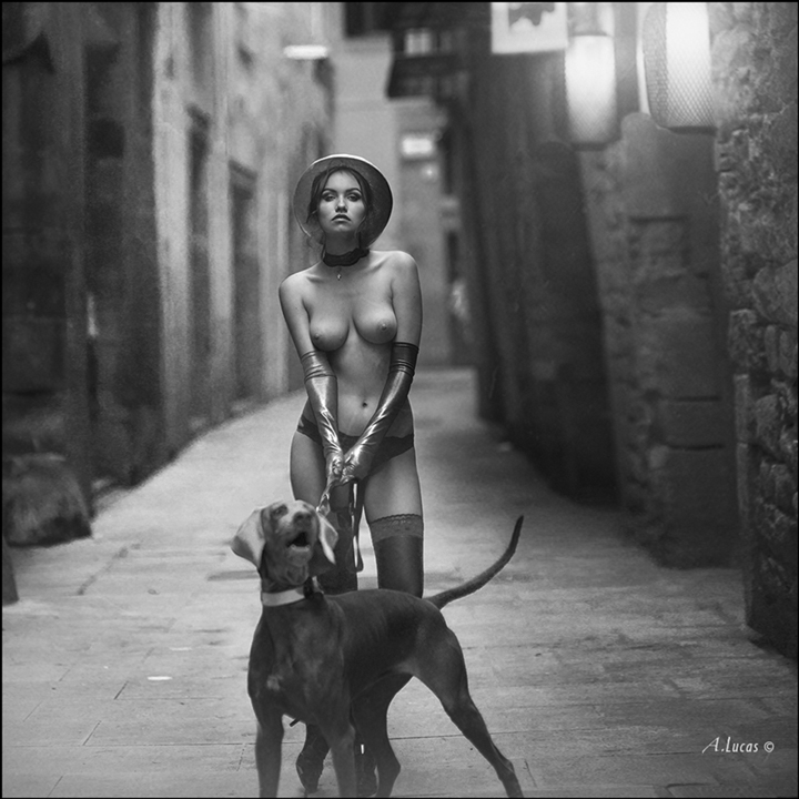 Lanterns of Catalonia ©