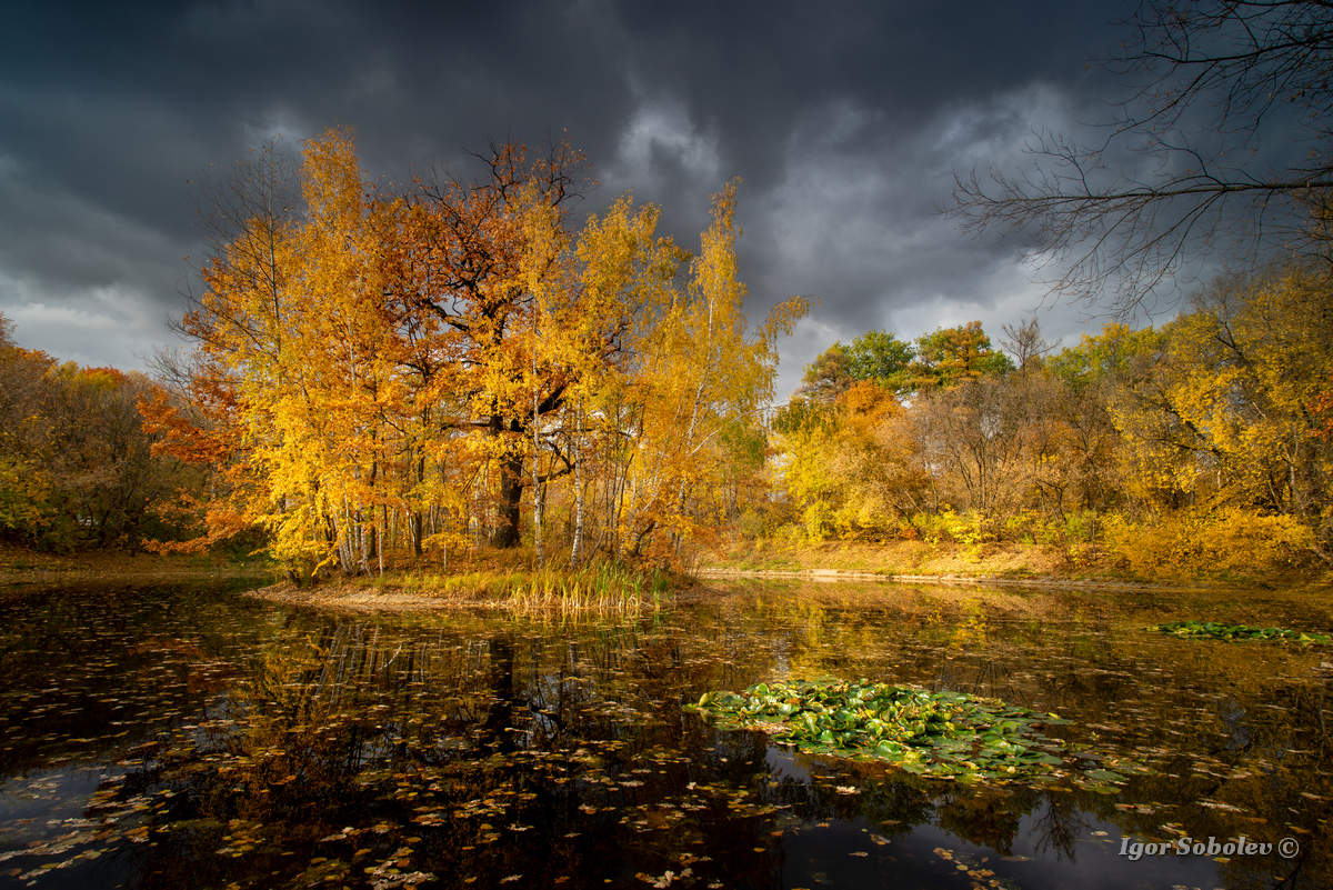 Herbst in Sokolniki