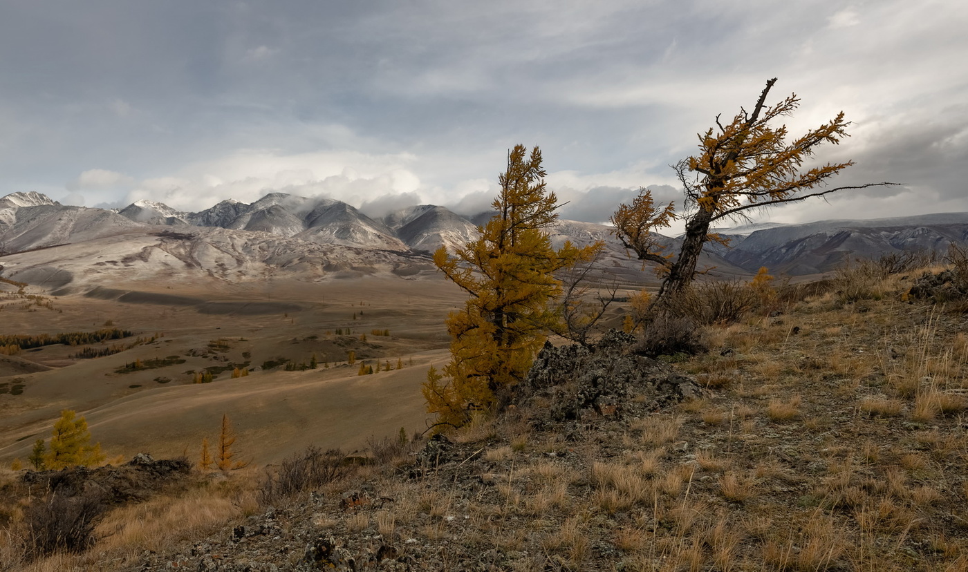 Auf den sieben Winden.