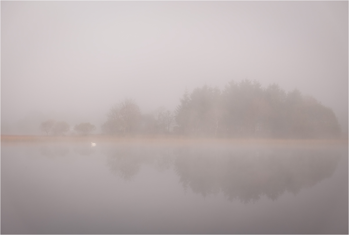 ...misty reflection...