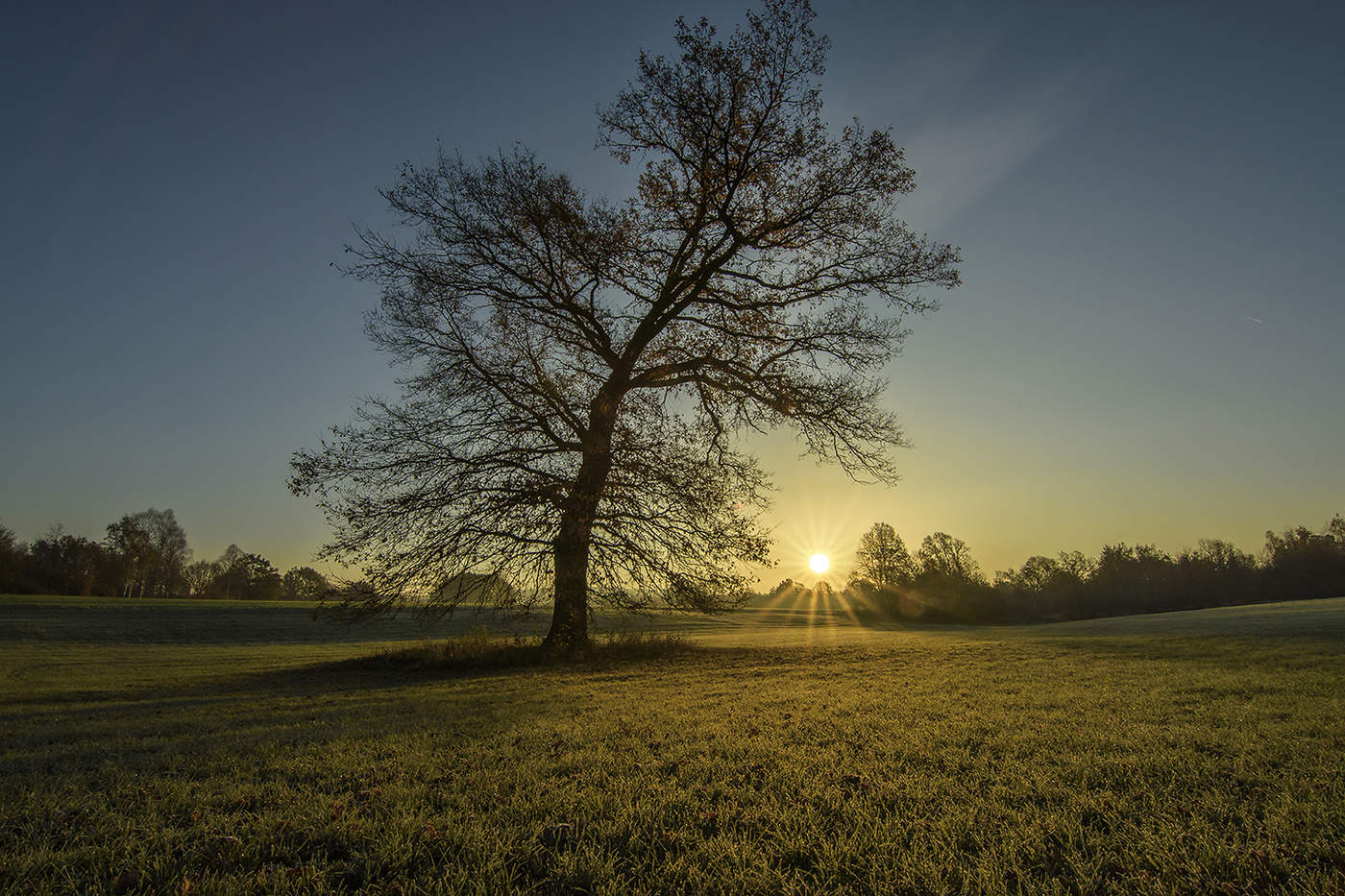 Die Geburt eines neuen Tages.