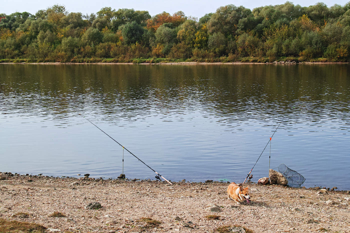 auf der anderen Seite