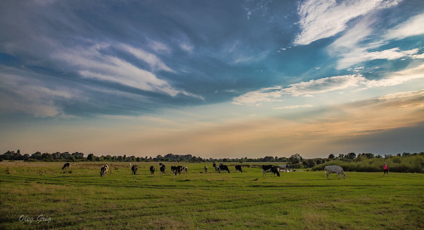 Auf dem anderen Ufer.