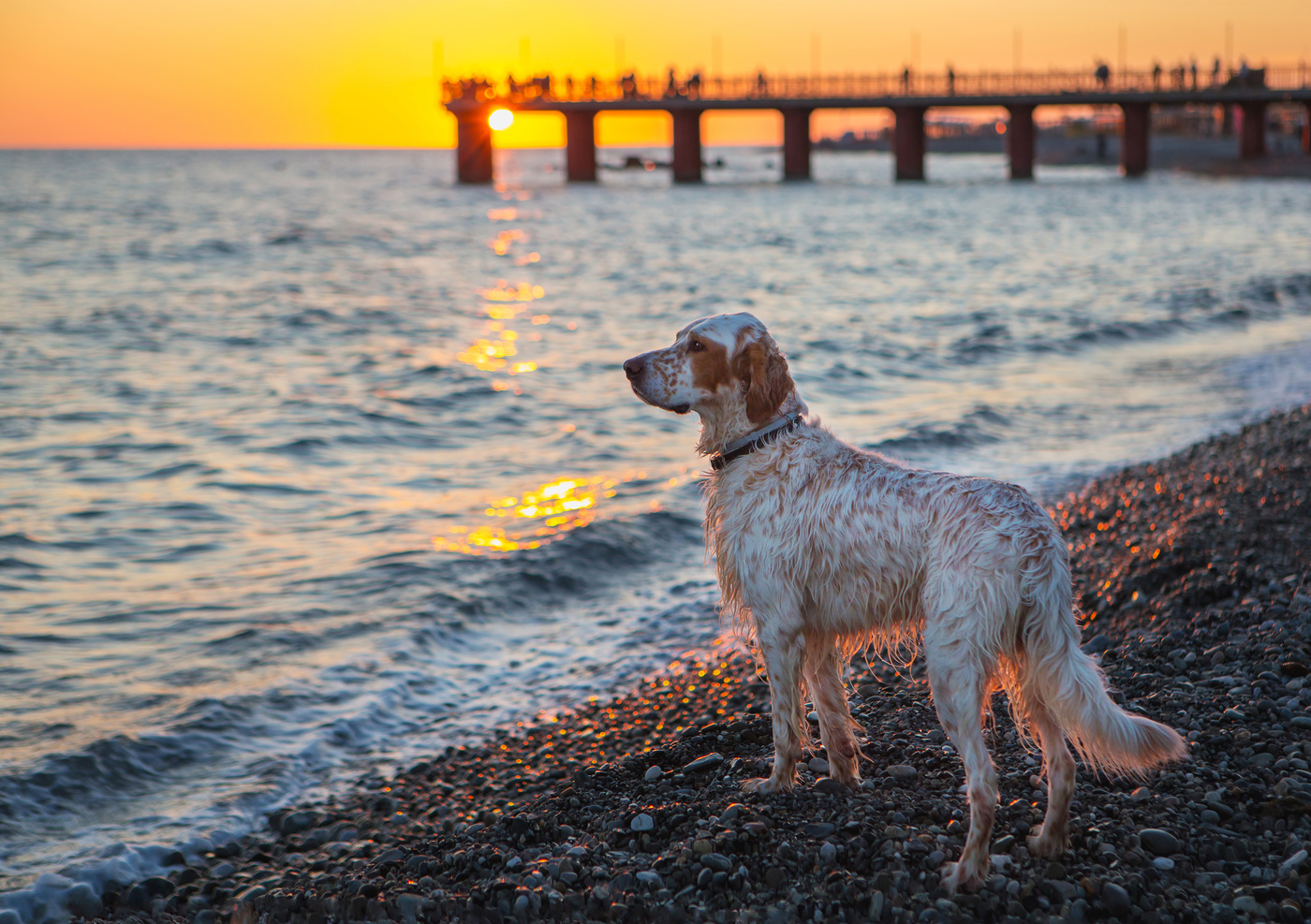 auf der anderen Seite