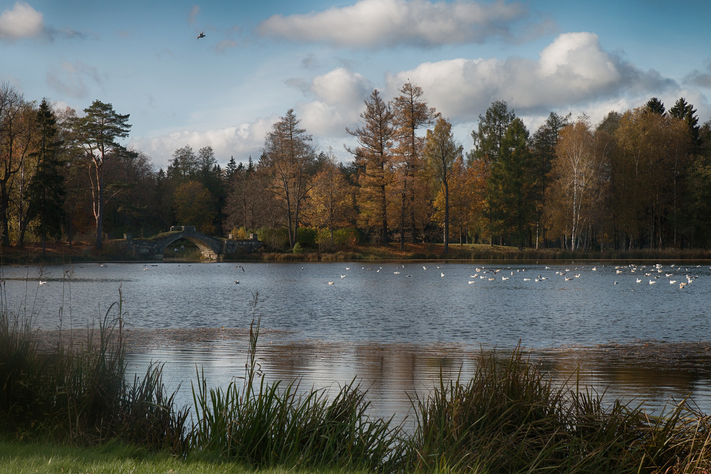 auf der anderen Seite