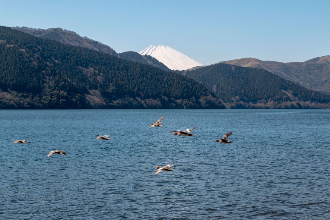 auf der anderen Seite