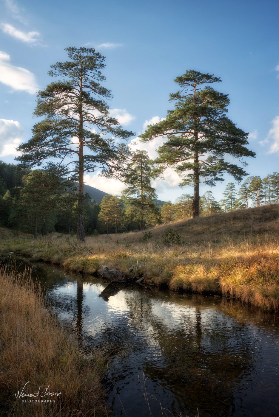 Zlatibor Mountain, Serbia