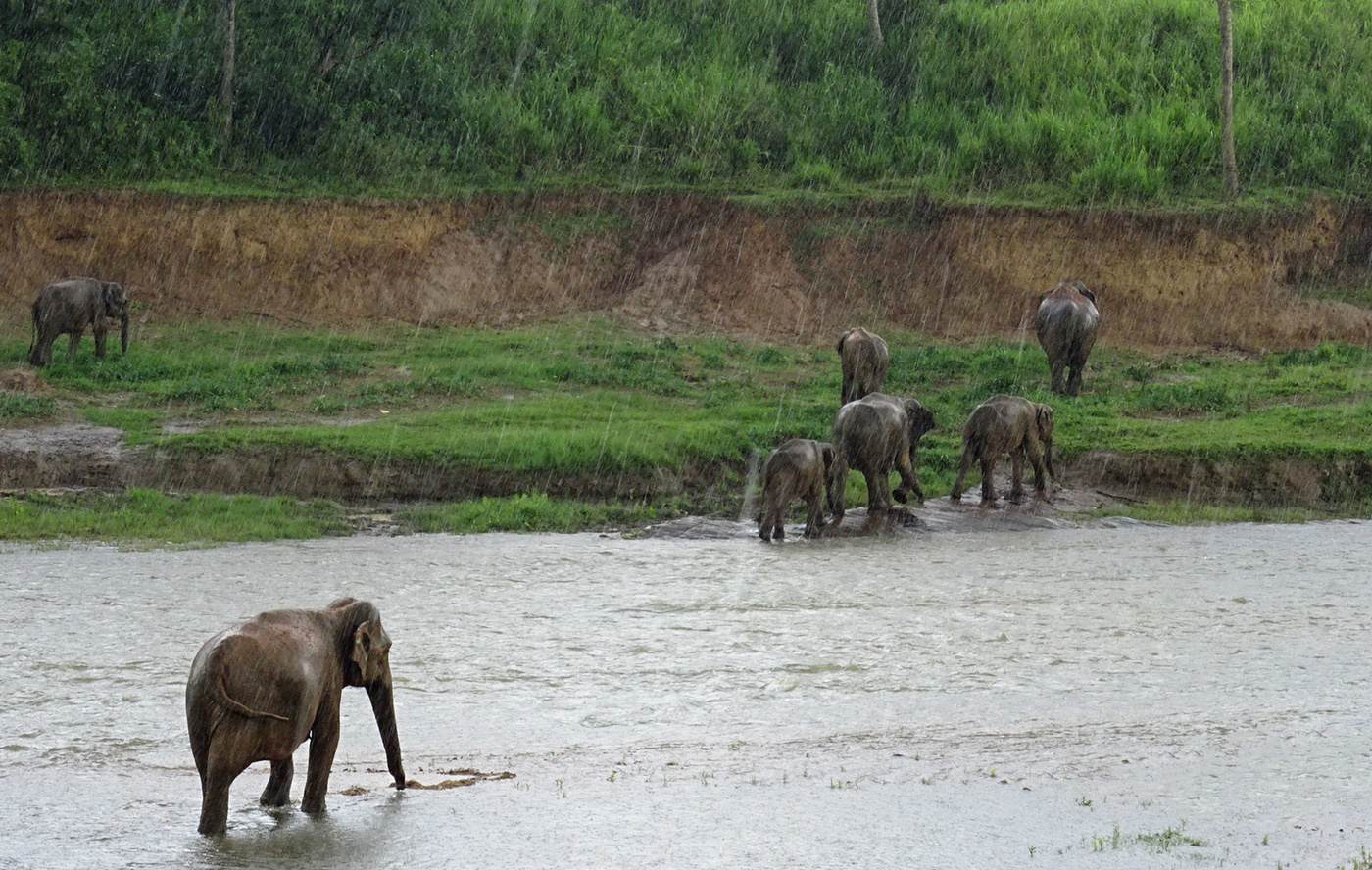 auf der anderen Seite