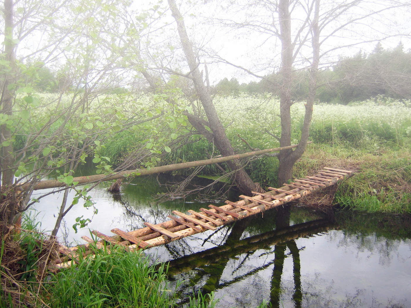 auf der anderen Seite