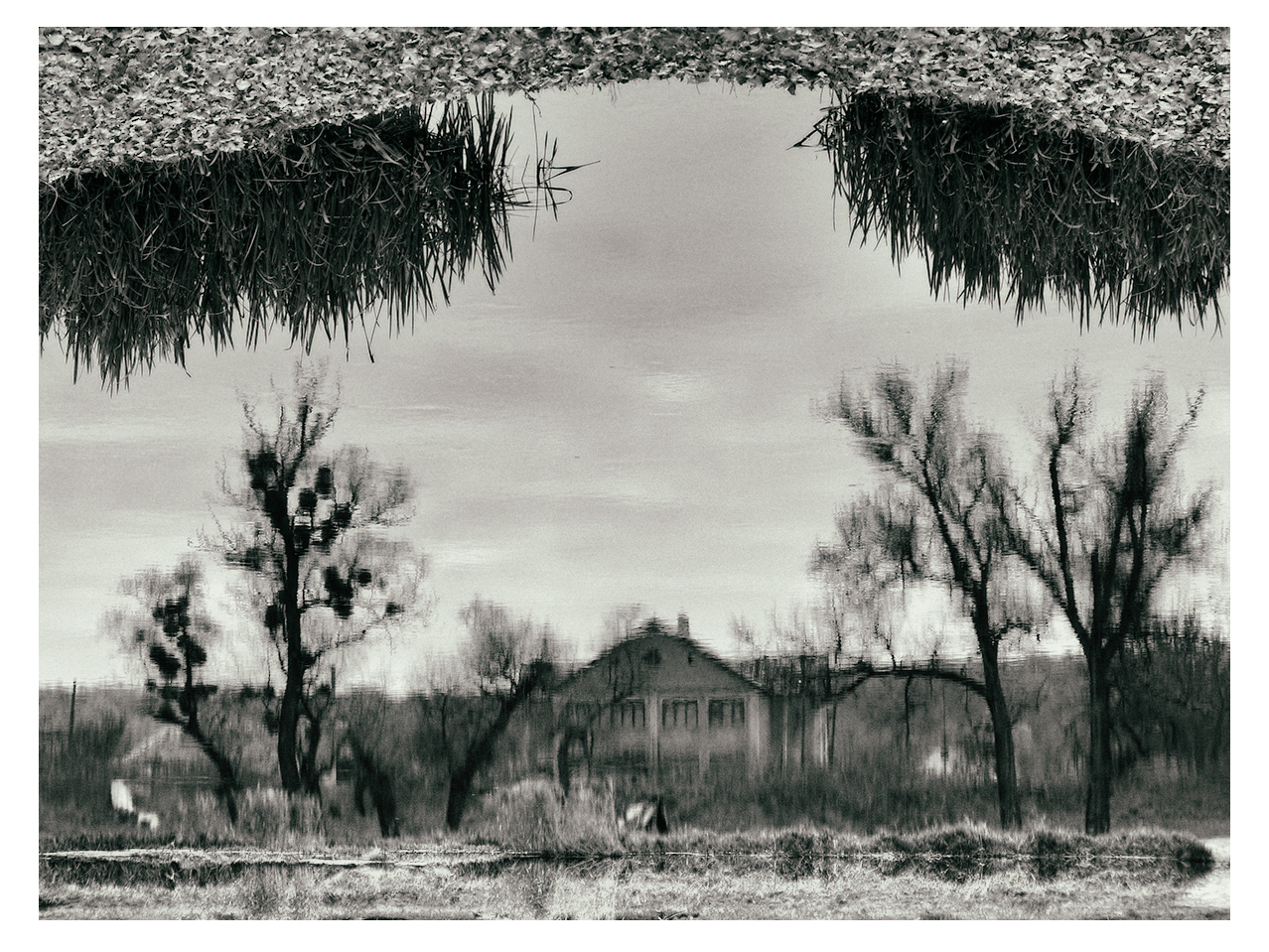 auf der anderen Seite