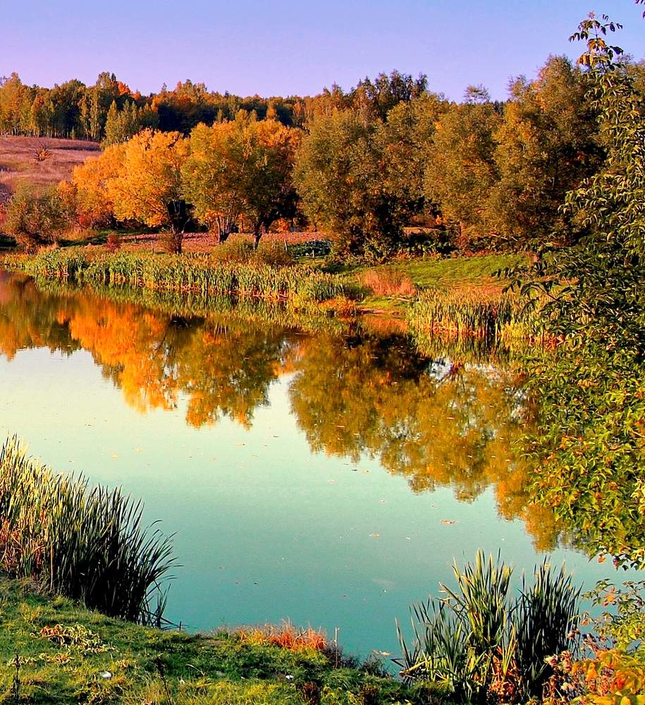 auf der anderen Seite