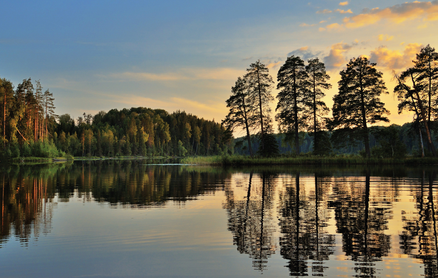 auf der anderen Seite