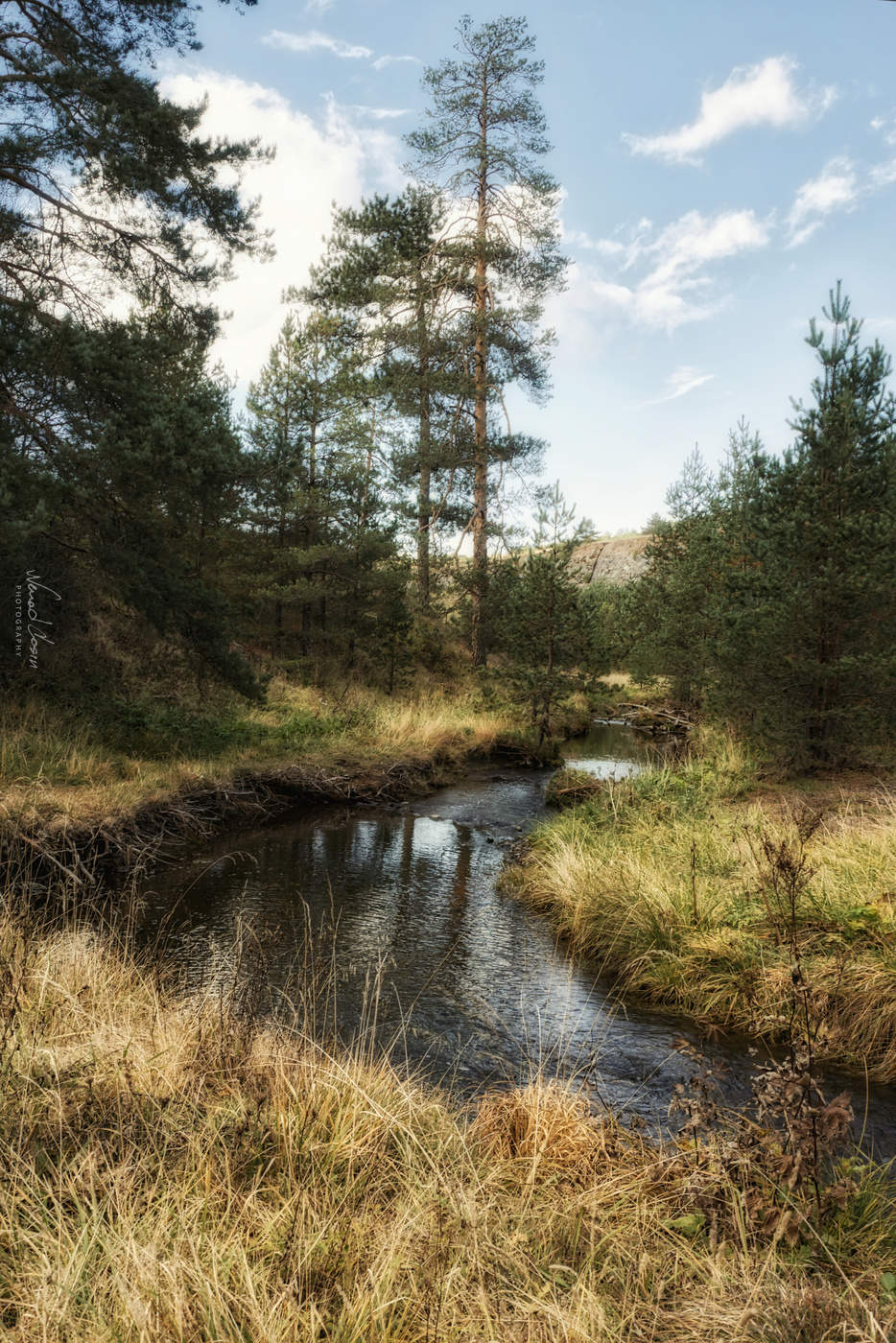 Zlatibor Mountain
