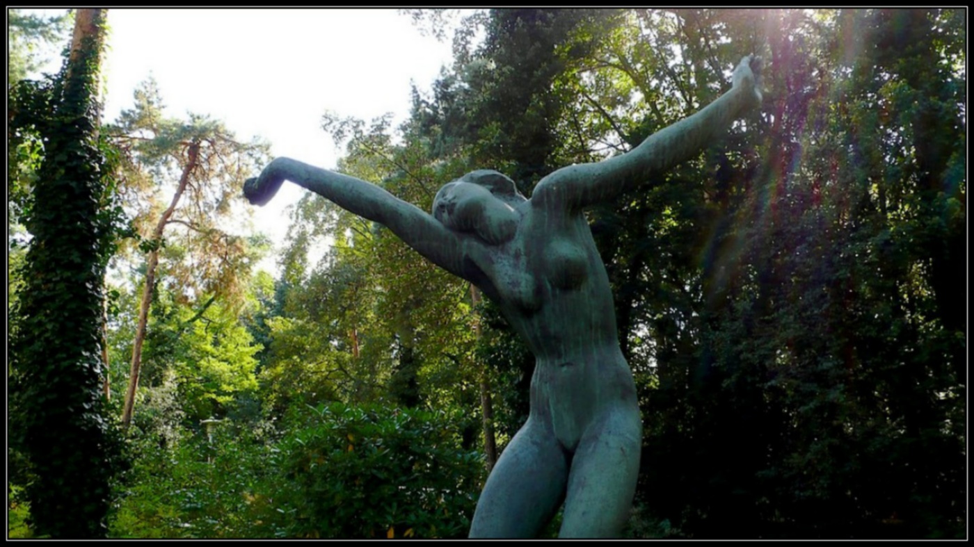 dancer in the wood