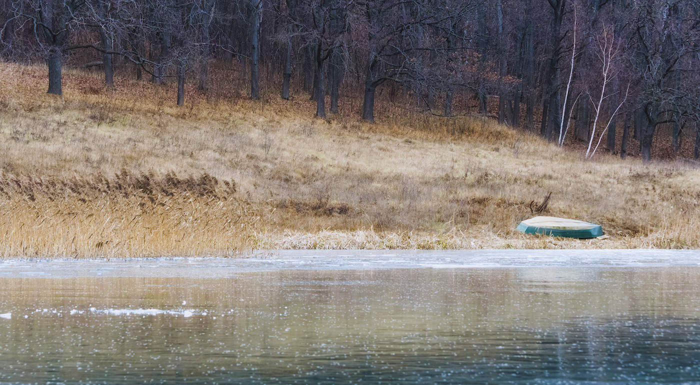 bis zum Frühjahr ...