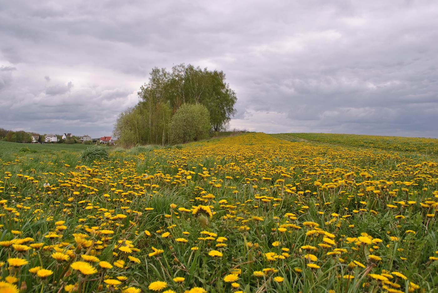 Frühlingsspaziergang