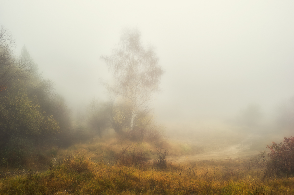 Der Geruch des Herbstes