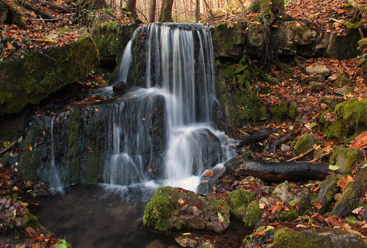 Im Rahmen des im Herbst