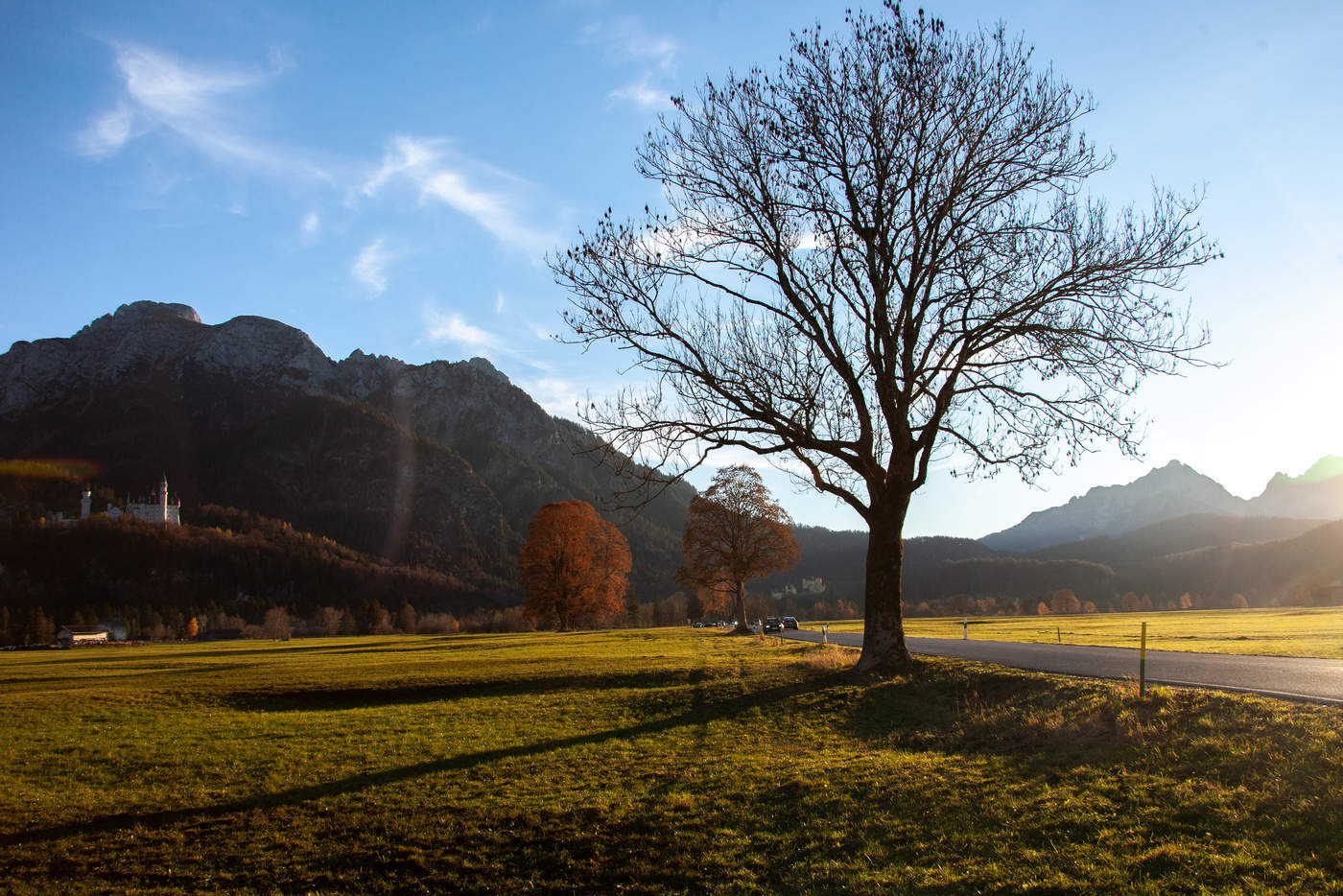 Oyfn veg shteyt a boym..