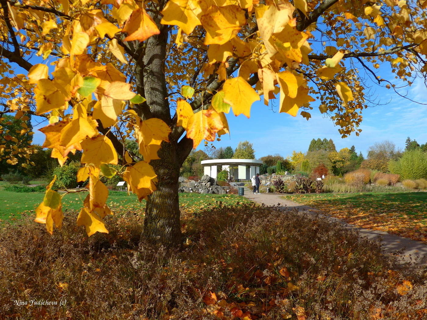 Loki Schmidt Garten Hamburg