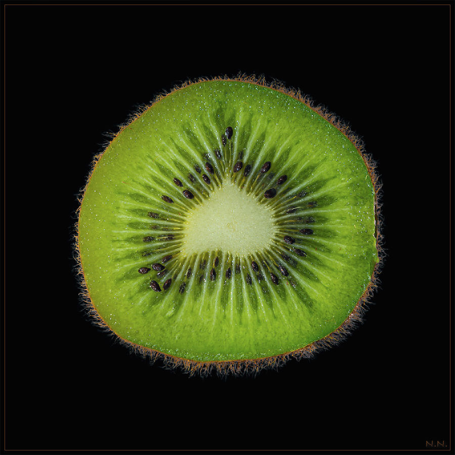 kiwi