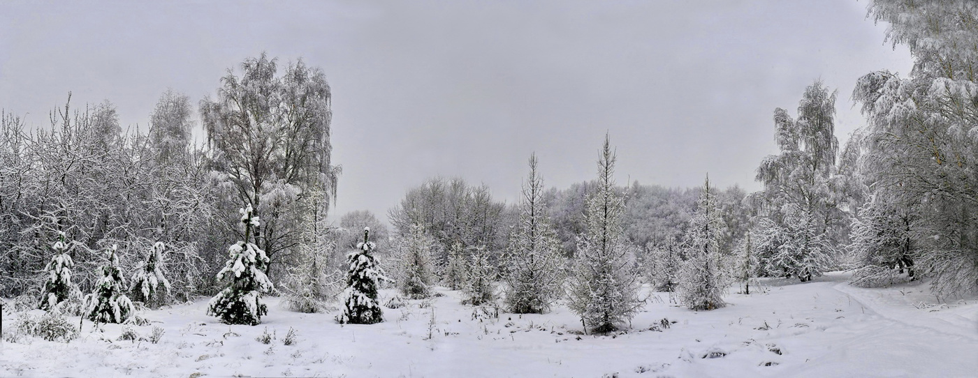 Überwiegend bewölkt