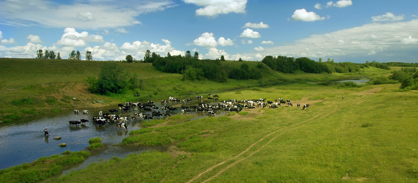 Erinnerungen an den Sommer