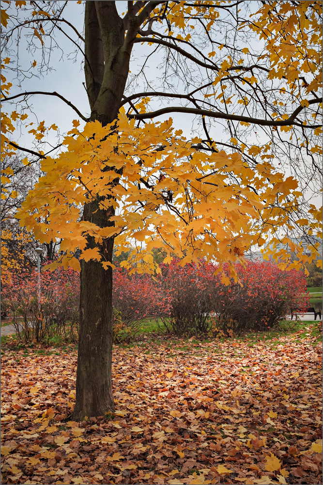 Im Herbst des Parks ...