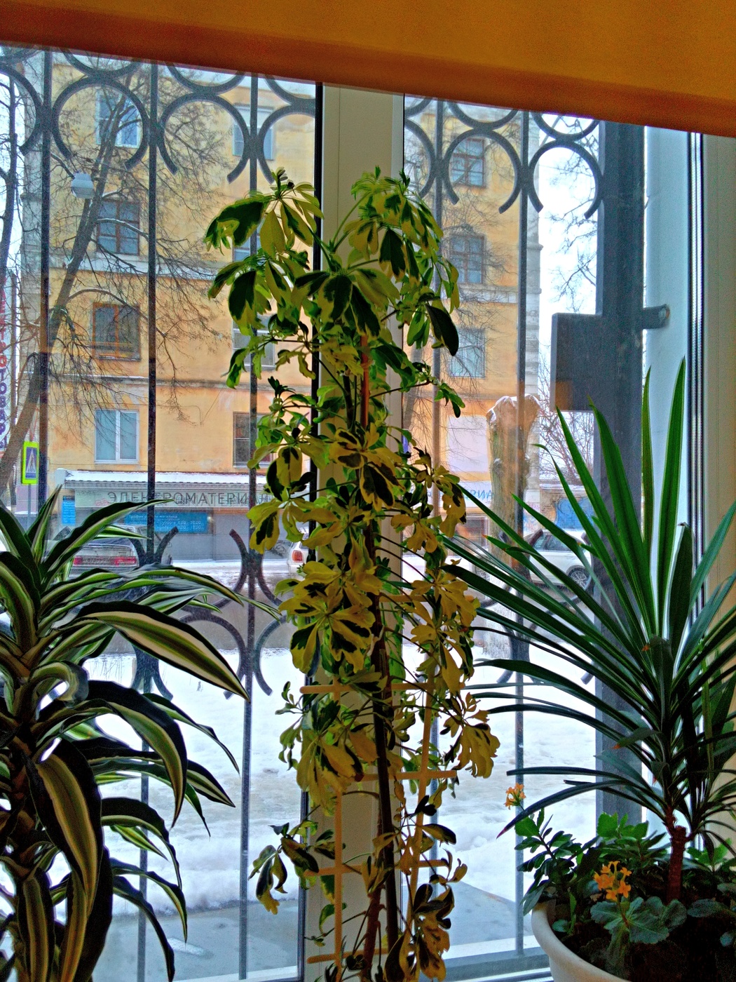 Der Blick aus dem Fenster.