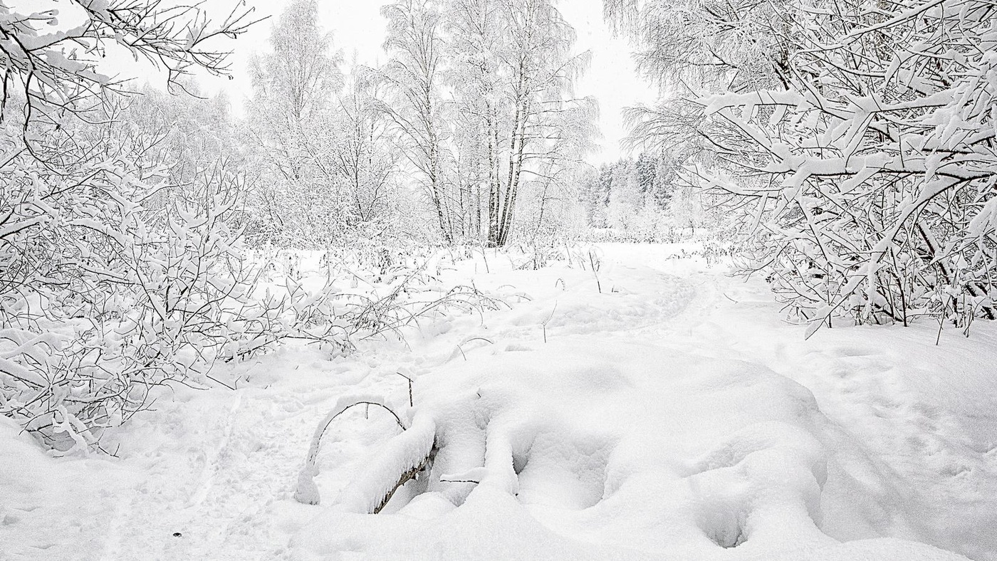 Im Vorgriff auf Neujahr