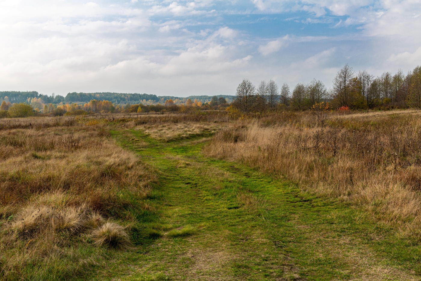 Herbst in der Ortschaft