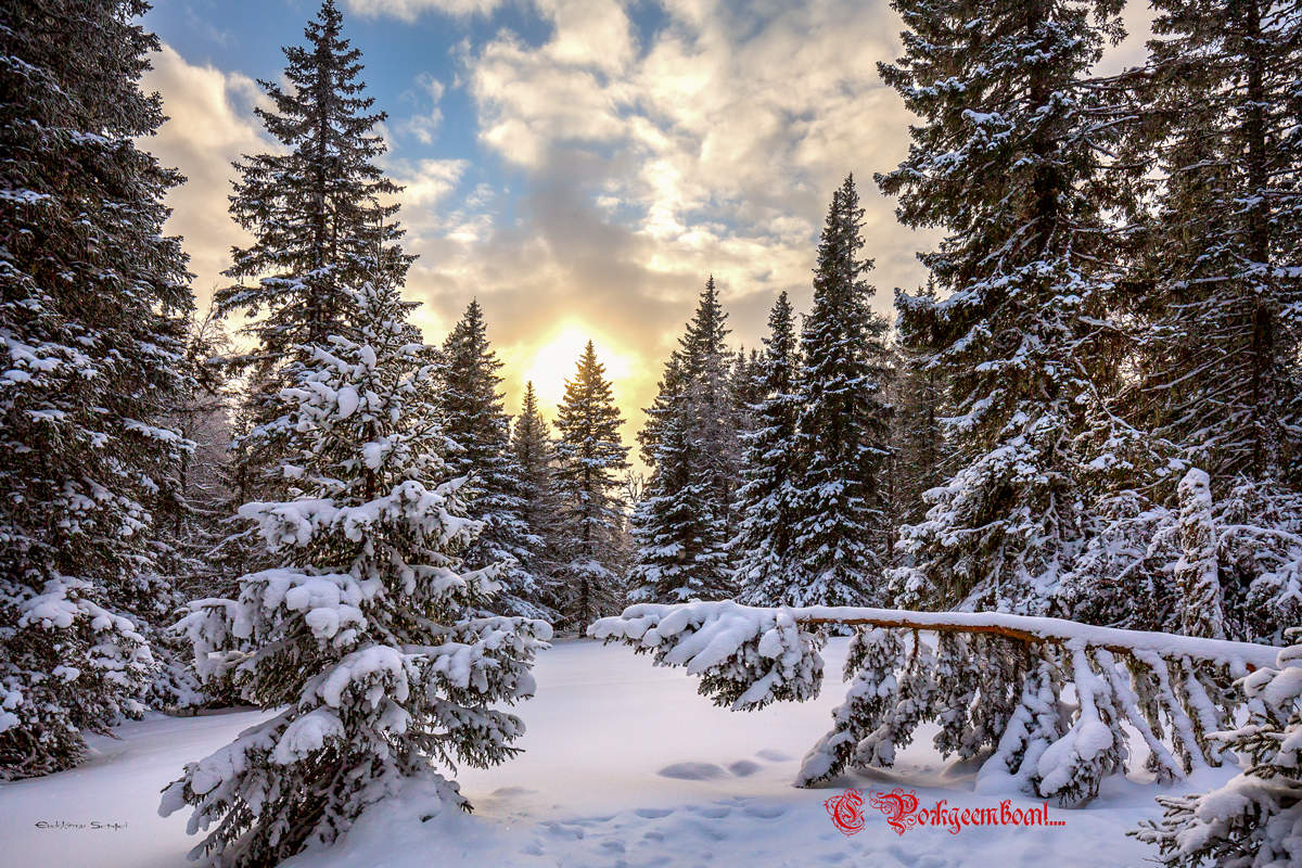 Herbst Morgendämmerung