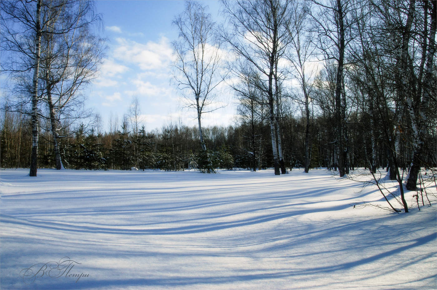 Winter Glade