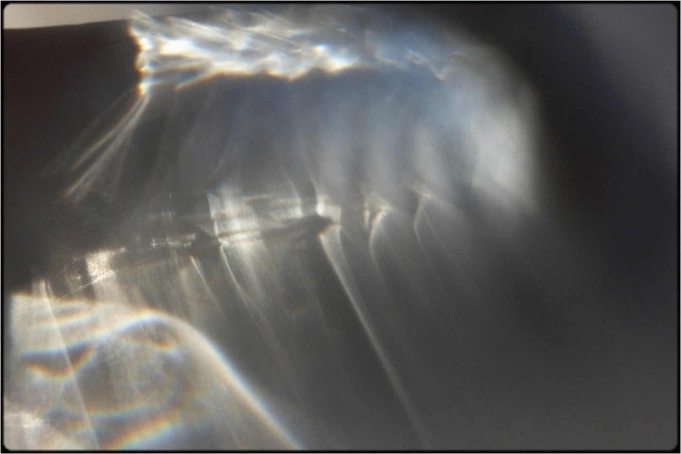 ghost in a bottle (2)