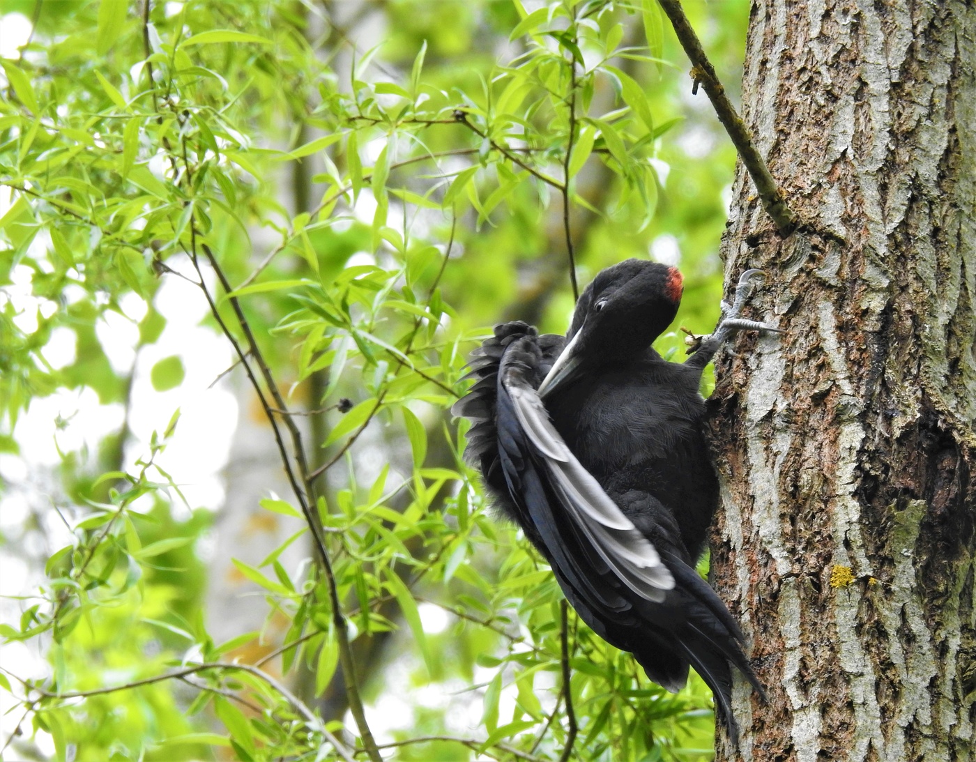 warten Sie eine Minute!
