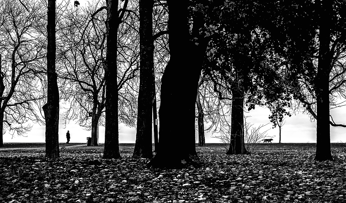 Auf dem Spaziergang ...