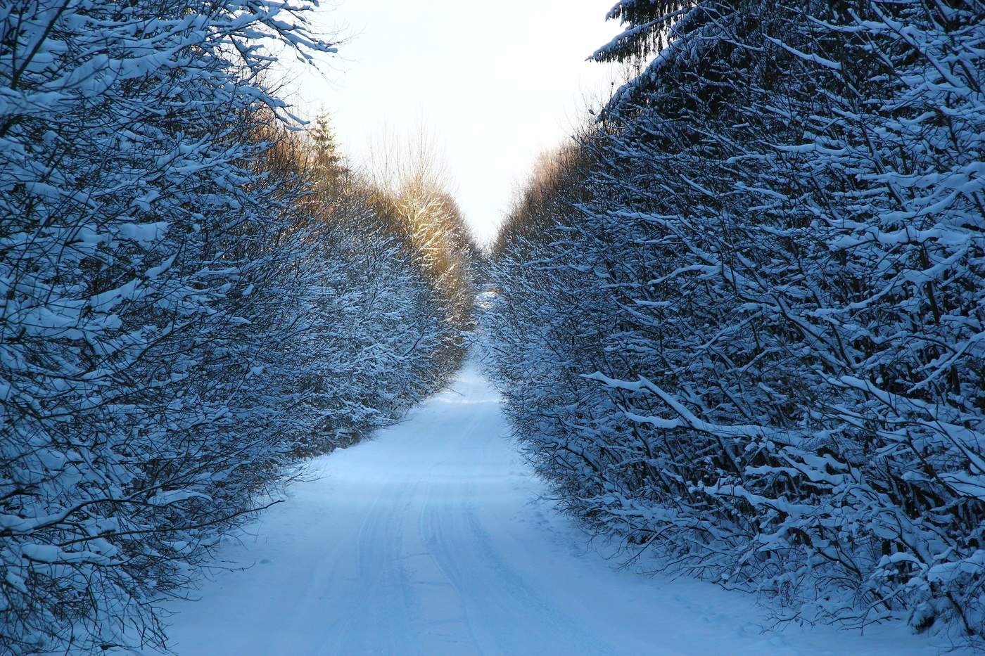 Zurück nach Hause ...