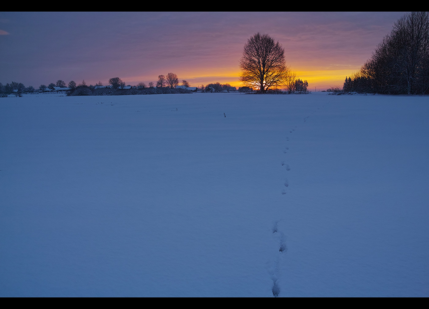 Um die Sonne entgegen