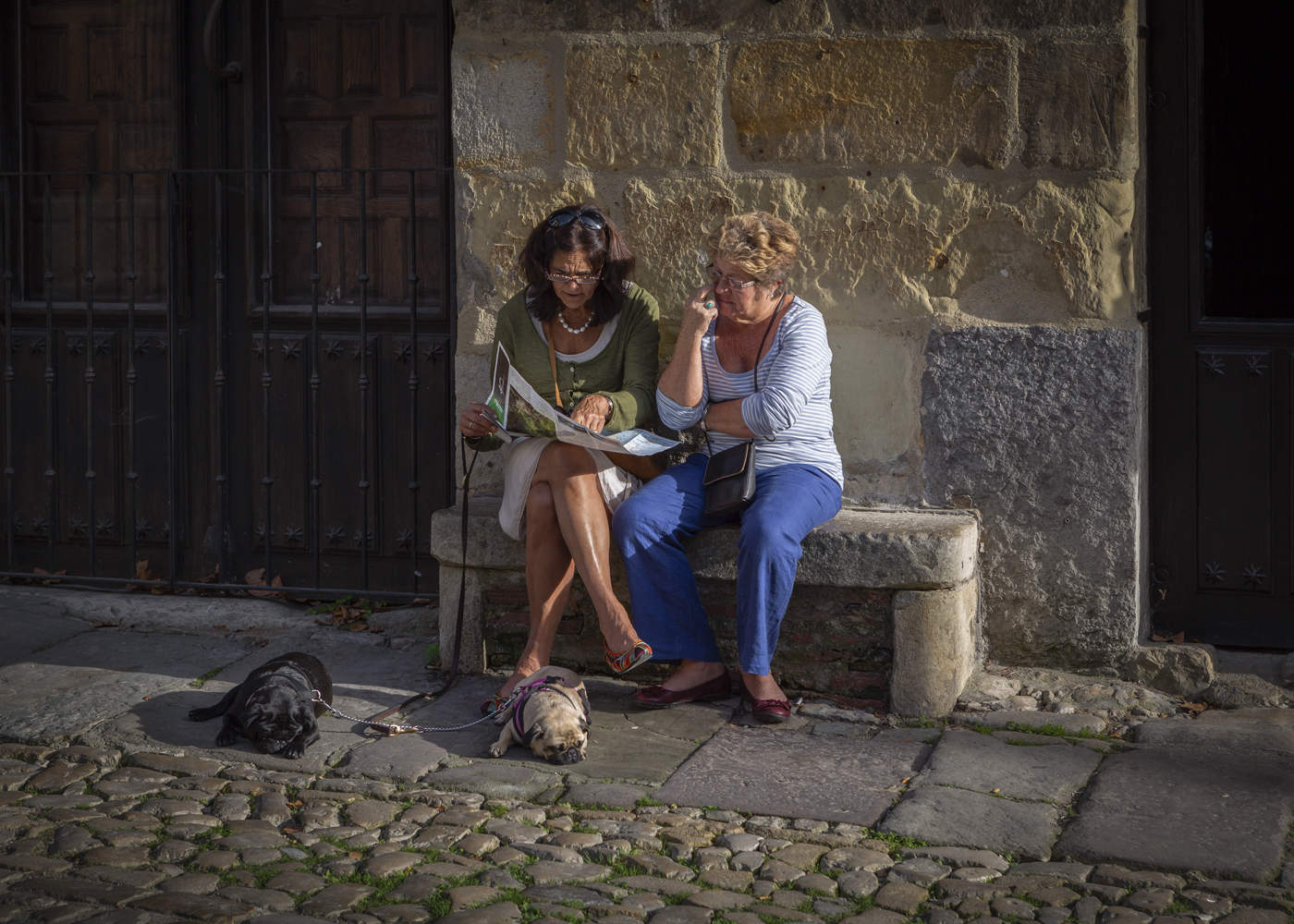 Dame mit dem Hündchen