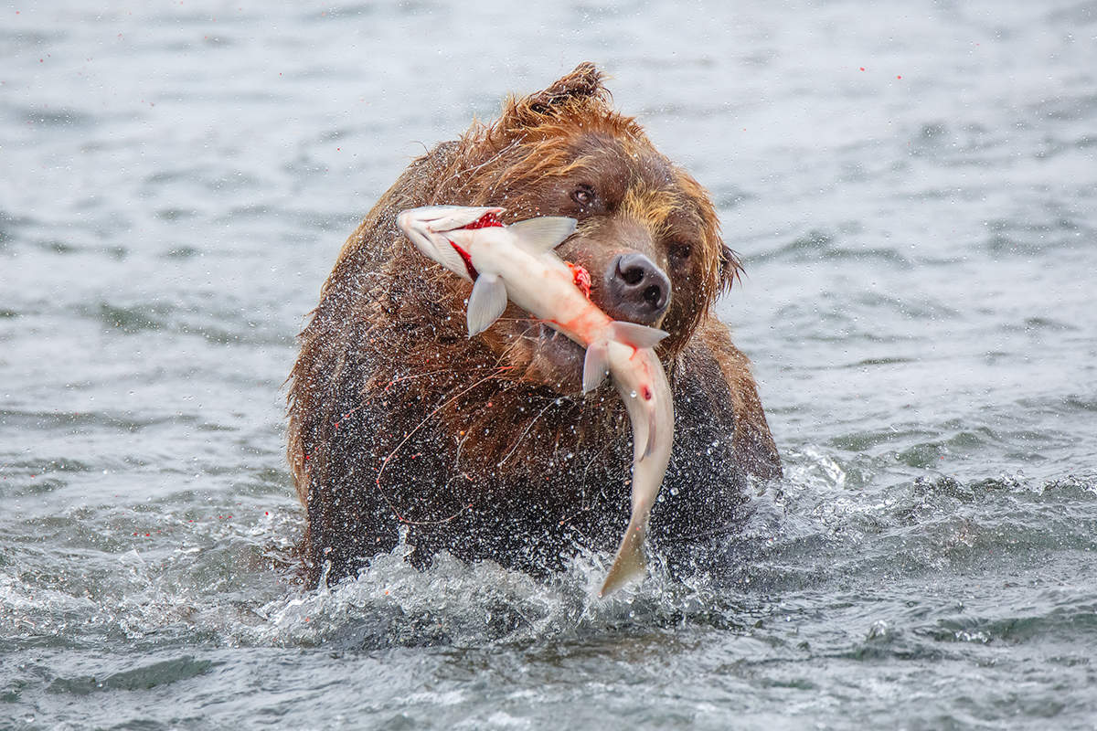 Angeln war ein Erfolg !!!