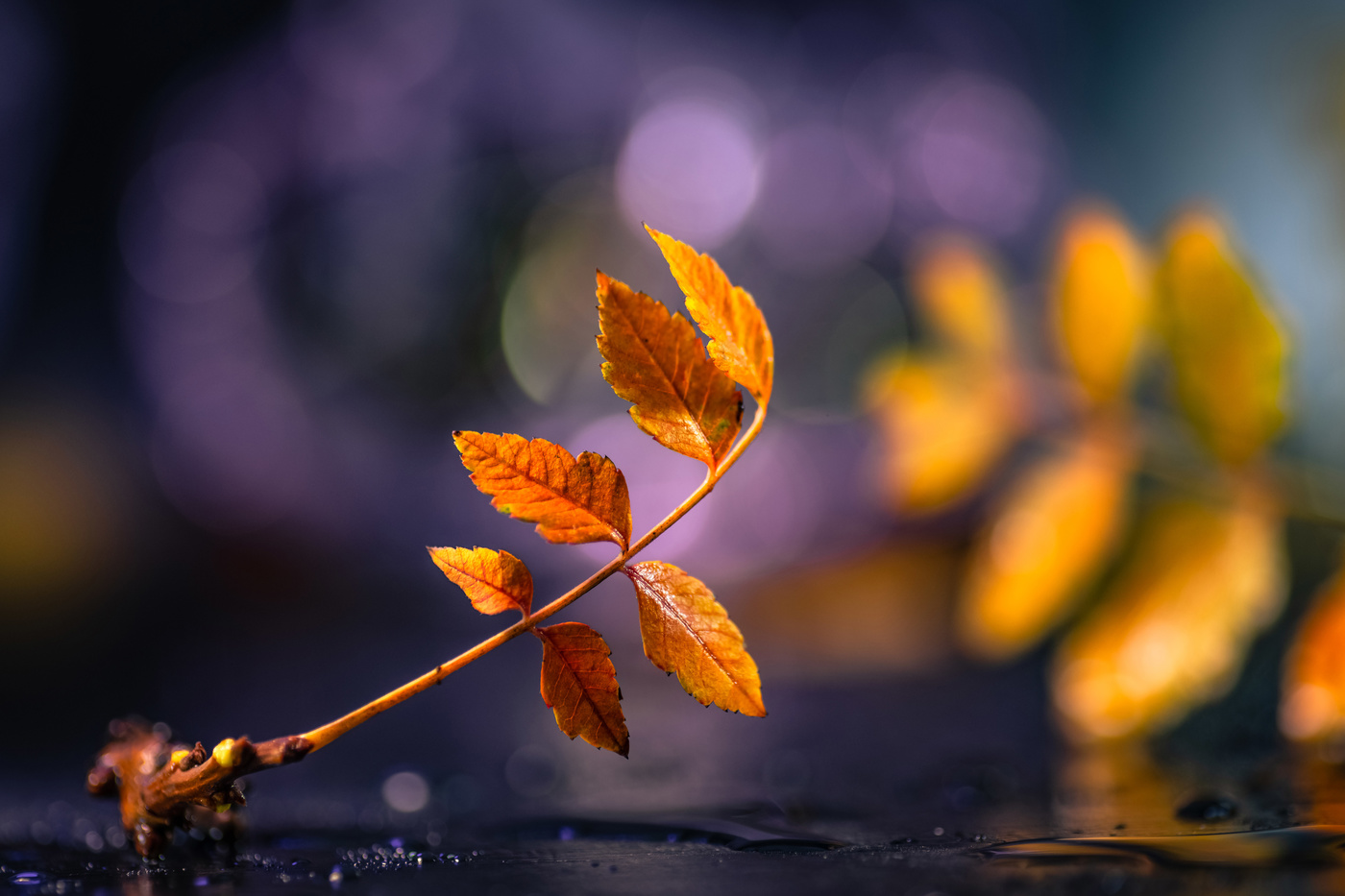 Para el tiempo pasado.