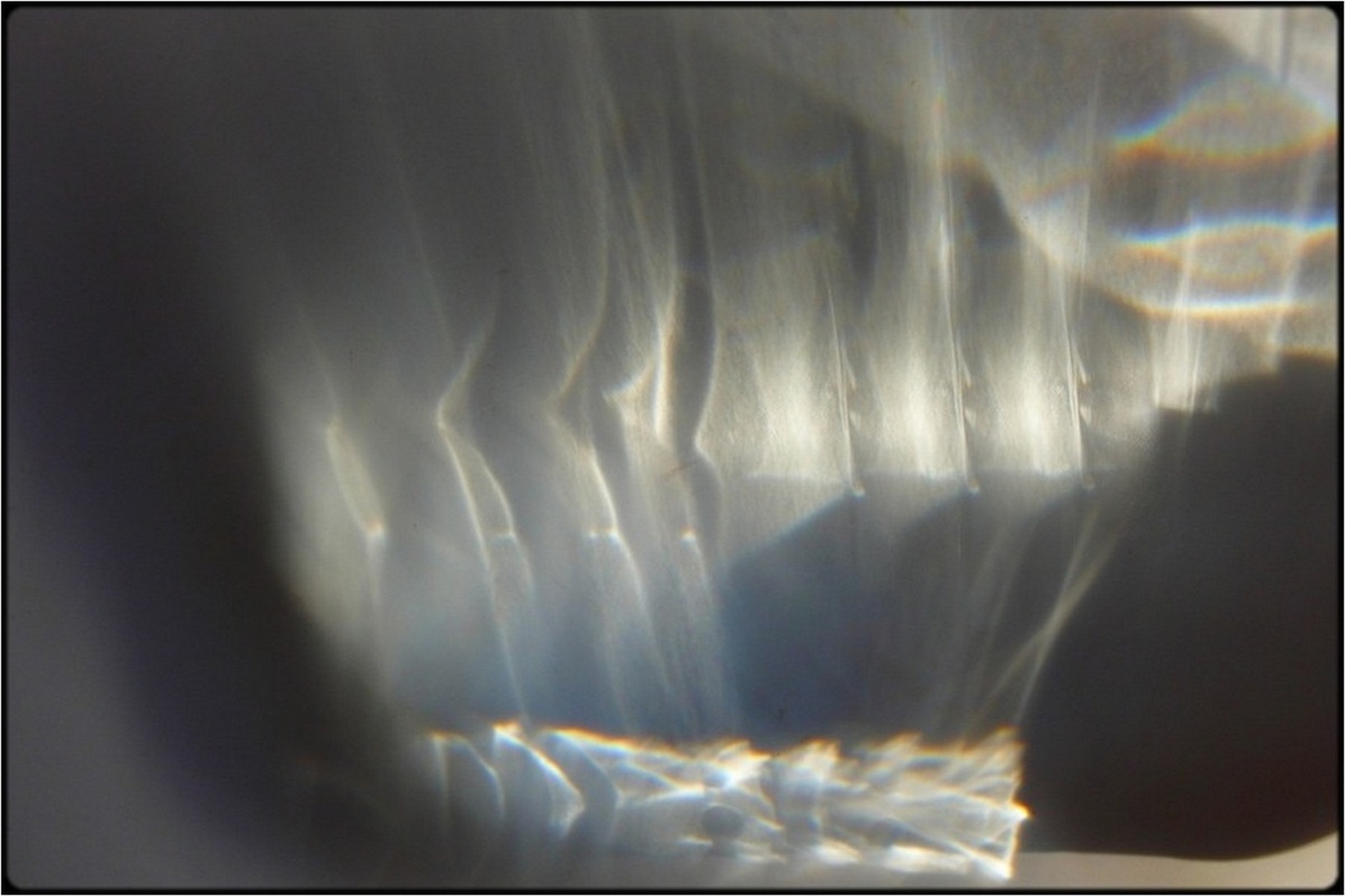 ghost in a bottle (4)