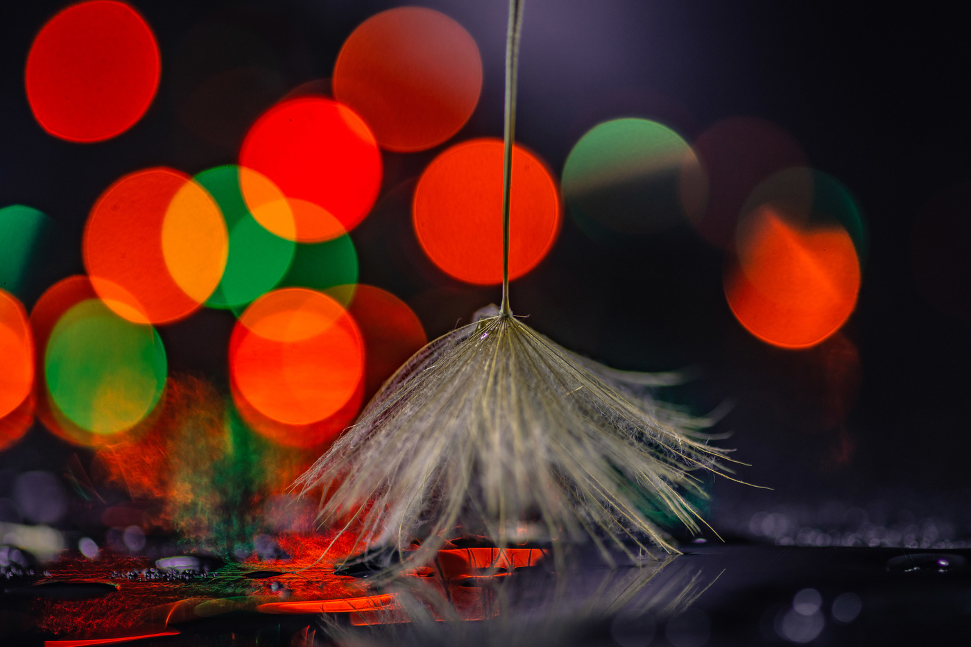 Barriendo las luces de la navidad.