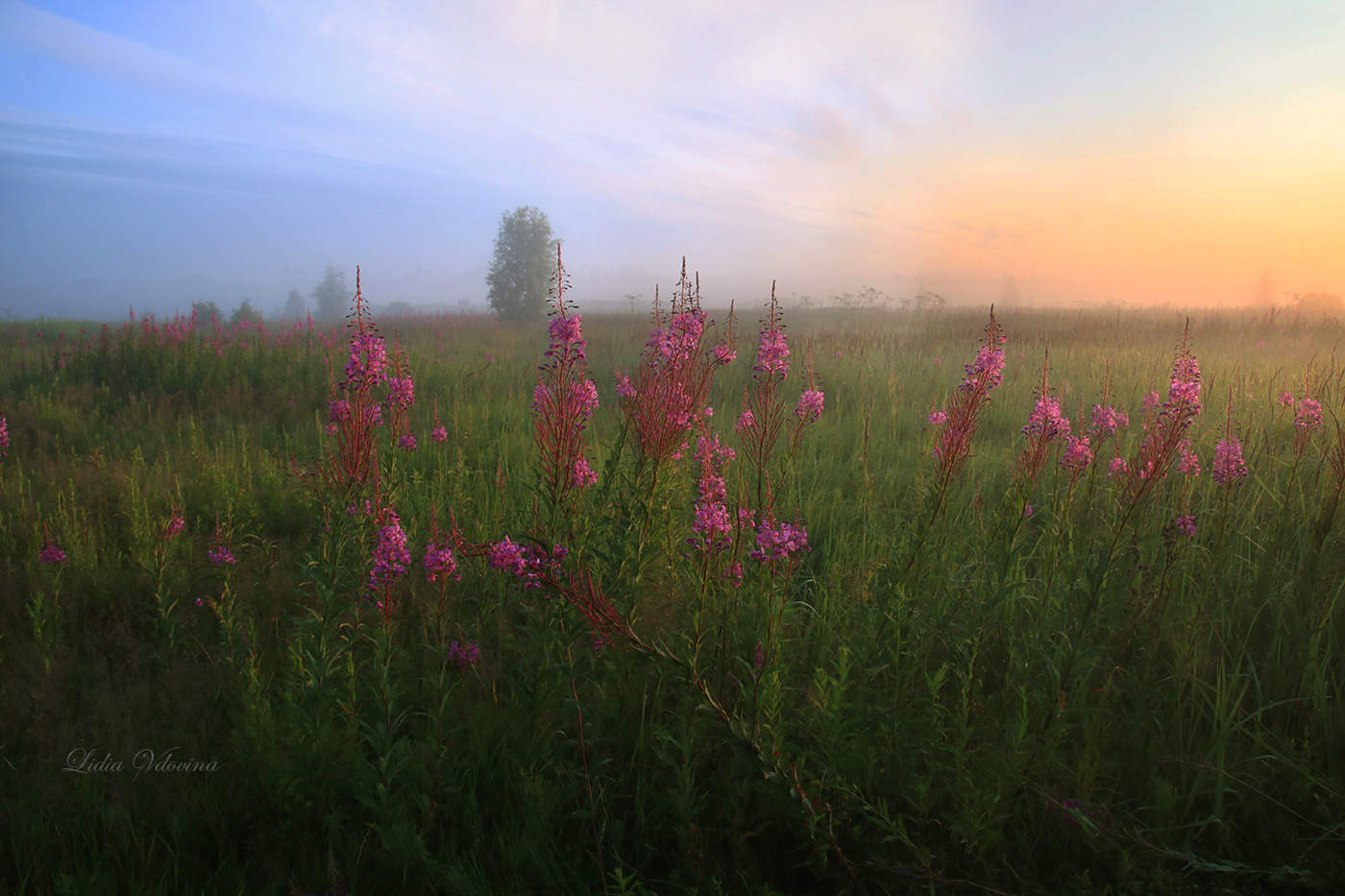 Morgen ein neuer Tag.