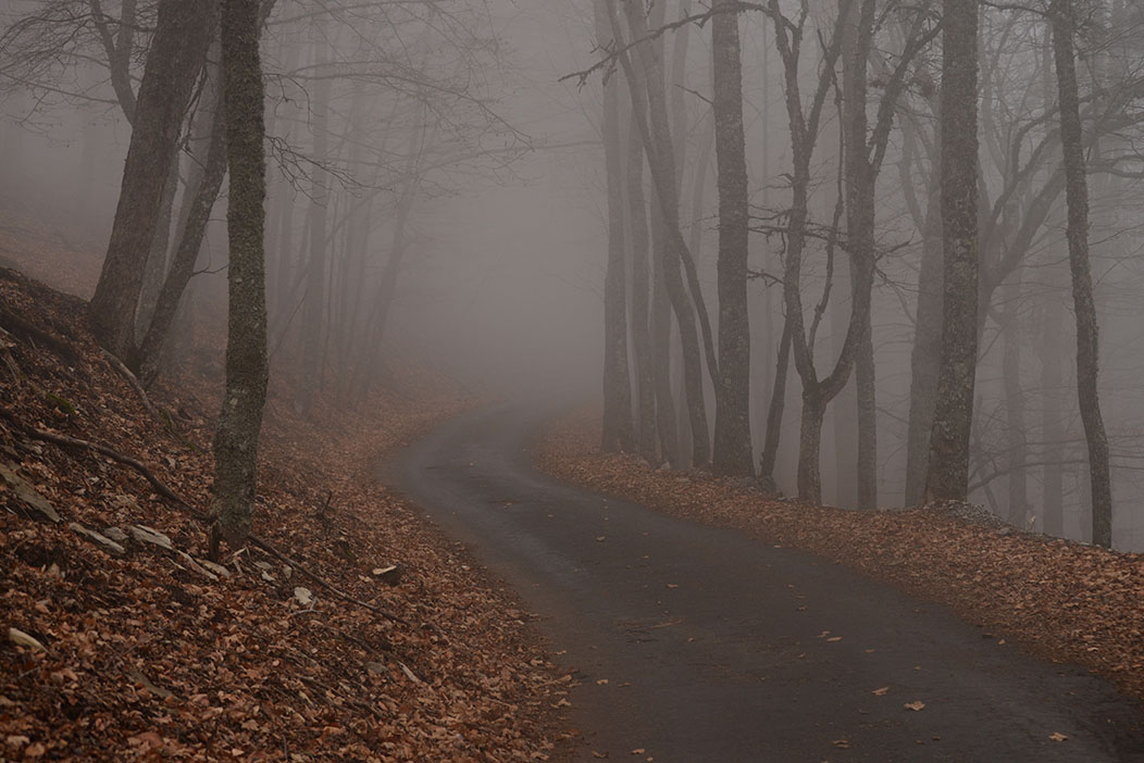 Verschwinden in den Nebel