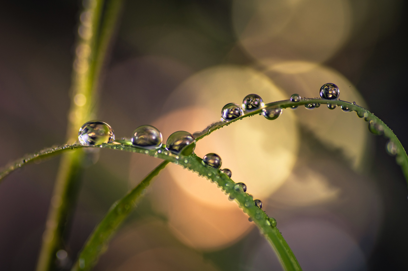 Ordenadas las gotas.