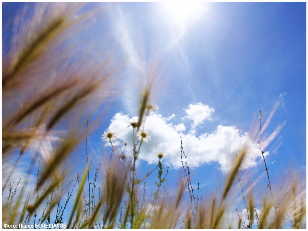 Erinnerungen an den Sommer