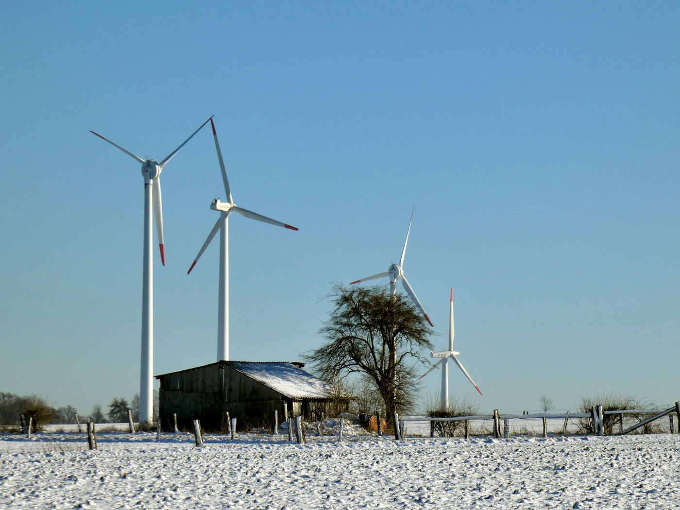 Windpark im Winter